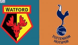 Soi kèo tỷ số nhà cái trận Watford vs Tottenham